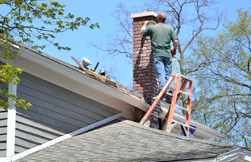 Chimney & Fireplace Inspections Services in La Crescenta-Montrose, CA